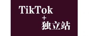 TikTok引流到独立站